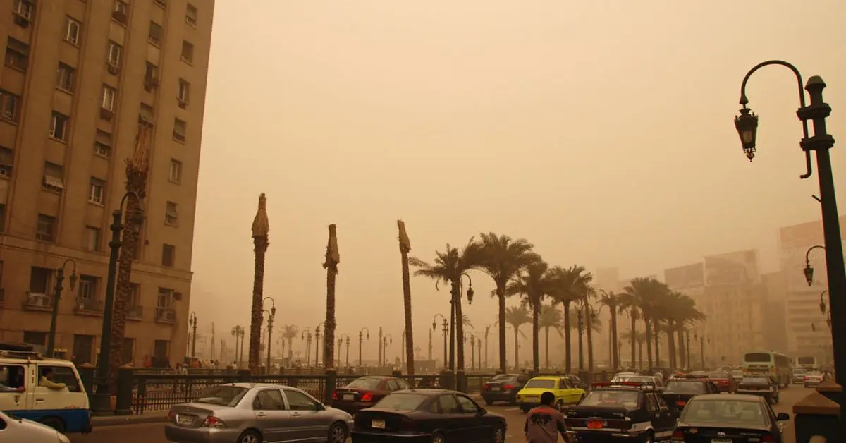 Innovative dad-daughter duo develop device to combat air pollution.