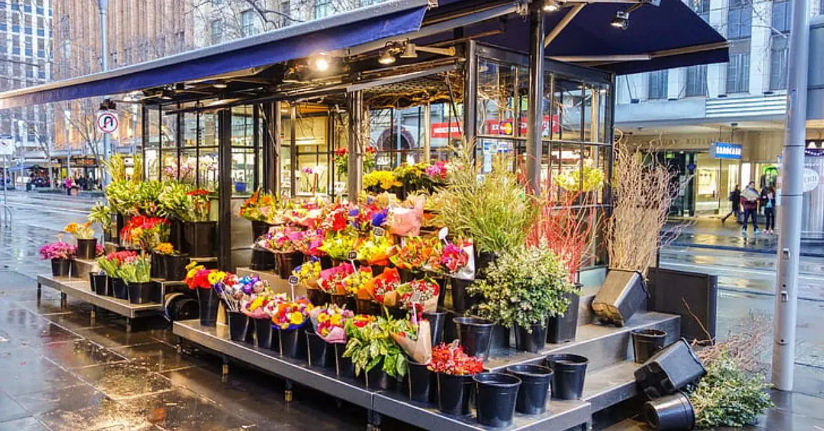 Valentine's day- But Single Edition!