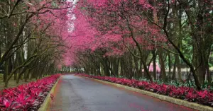 Places to visit in India in March for a perfect trip.