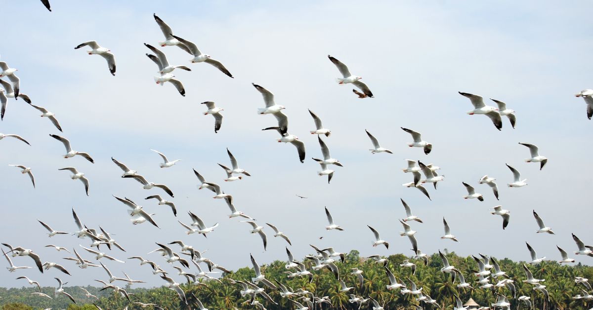 Best places in Vizag for a perfect March day out