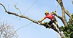 Vizag power outage on March 23 in several areas