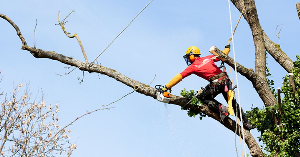 Vizag power outage on March 23 in several areas