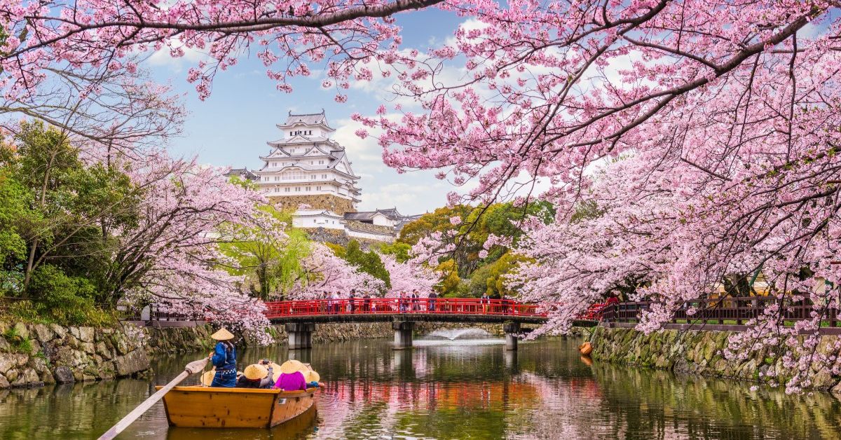 Japan calling: A travel guide to the land of tradition and neon