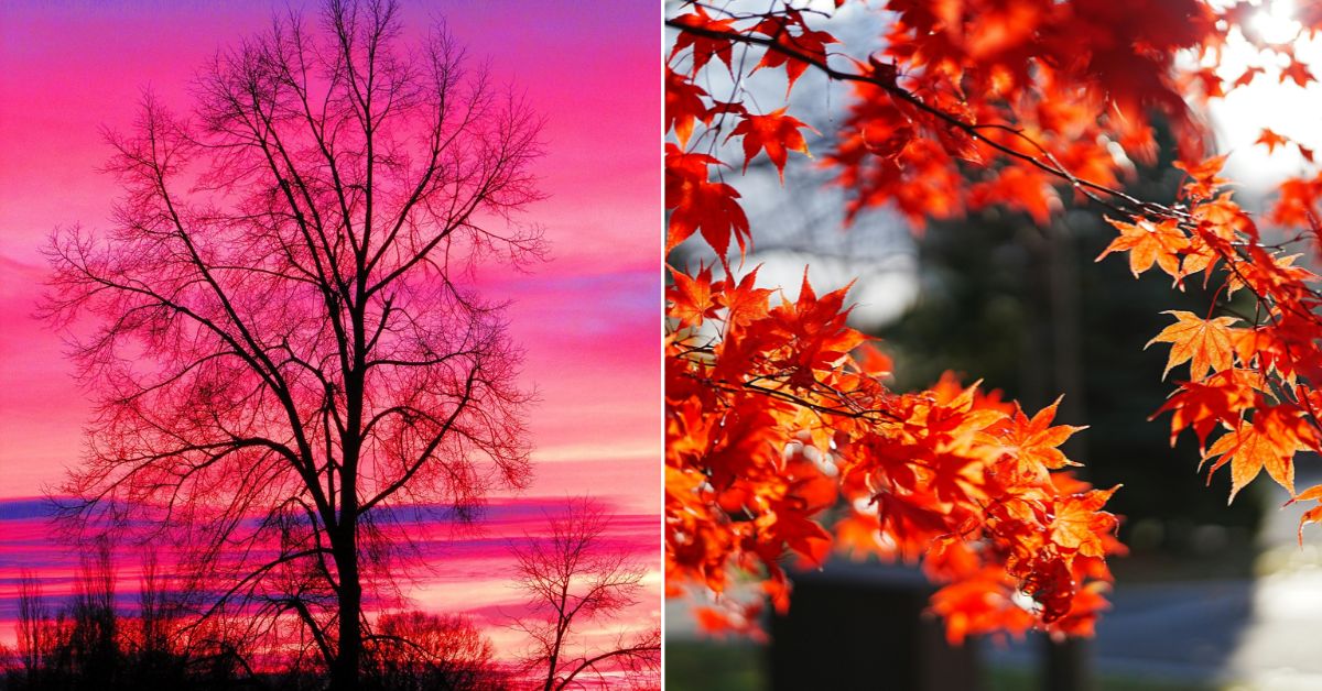 Vizag weather through seasons: What each feels like