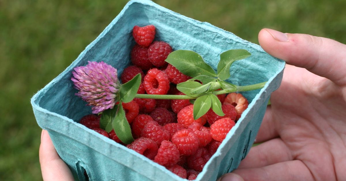 Summer bag essentials in Vizag for hot days