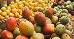 Organic Mango Mela Returns to Visakhapatnam on May 28