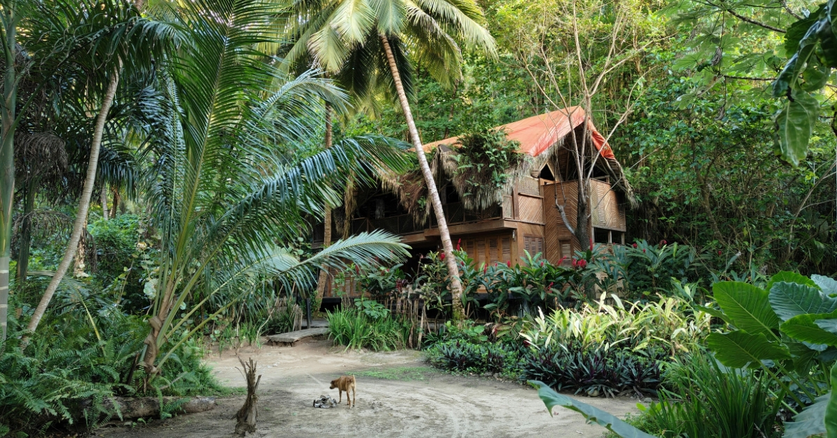 Eco-tourism to boost with eco-friendly night stays in Vizag!