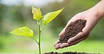World Nature Conservation Day 2026: Act Local, Think Global!