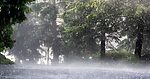 Bay of Bengal Depression to Intensify, Heavy Rains Likely