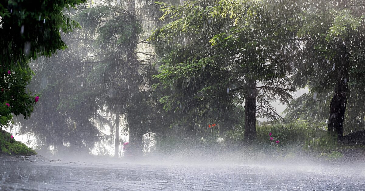 Bay of Bengal Depression to Intensify, Heavy Rains Likely