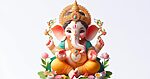 Vizag Ganesh Pandal Organisers Get Online Portal Boost