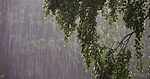 Heavy Rains Forecast in Andhra Pradesh, Anitha Alerts Officials