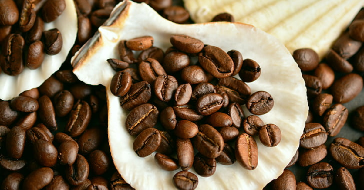 International Coffee Day: Araku Coffee Wins Global Hearts
