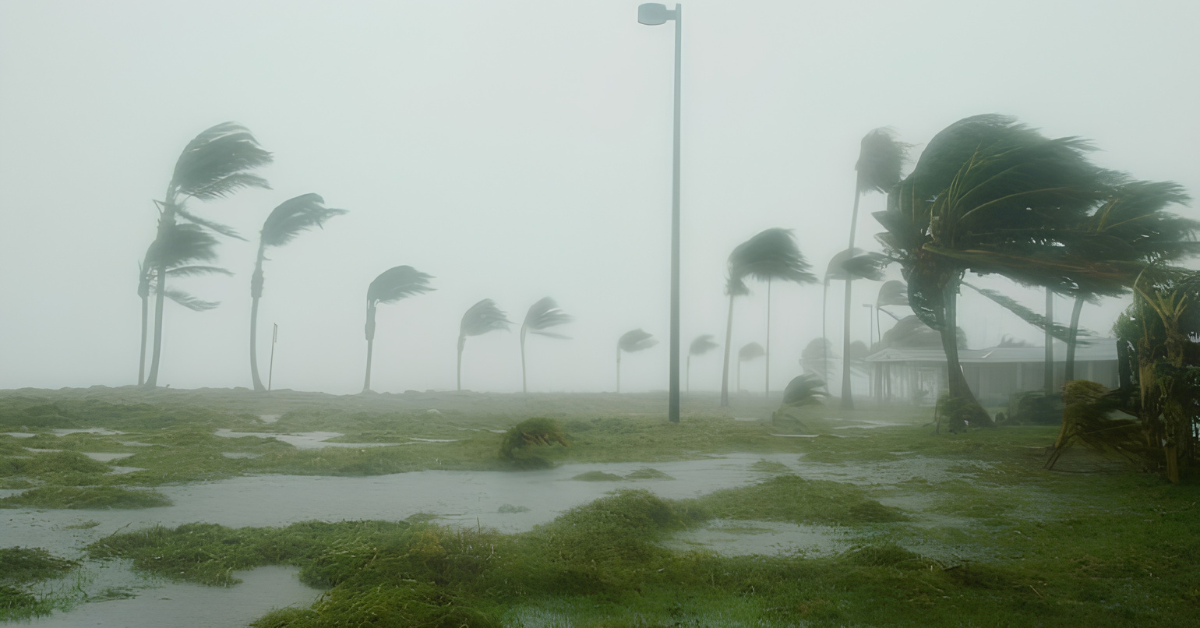 Cyclone Arnab weakens, but rain and gusty winds to continue in Vizag in coming days