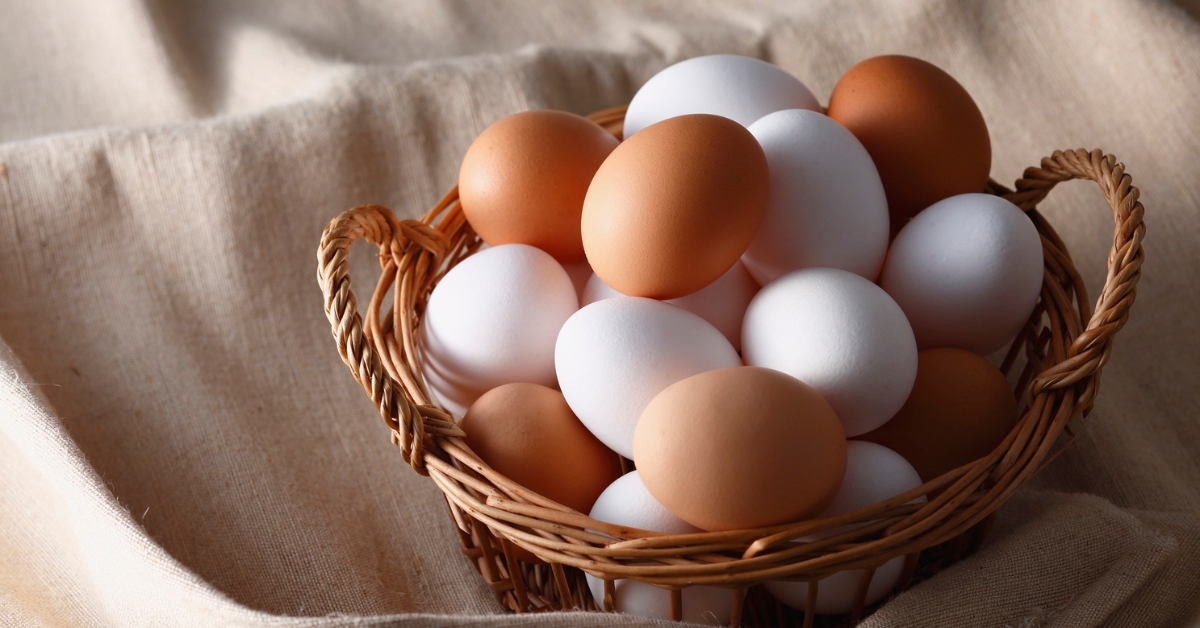 World Egg Day: NECC hosts egg fest at Visakhapatnam RK Beach